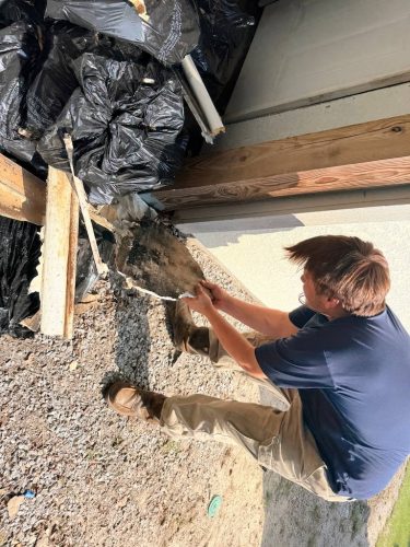 Best Augusta Georgia Junk Removal Companies Junk In The Box Updates 7 27 2026 26