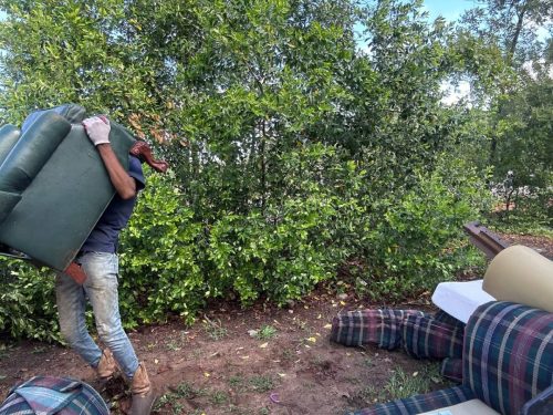 Best Augusta Georgia Junk Removal Companies Junk In The Box Updates 6 15 2026 10