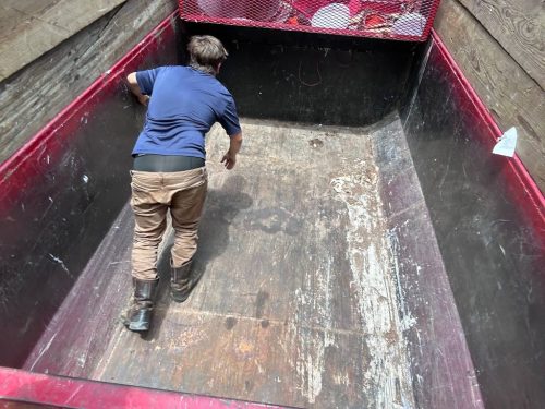 Best Martinez Georgia Junk Removal Companies Junk In The Box Updates 6 29 2026 30