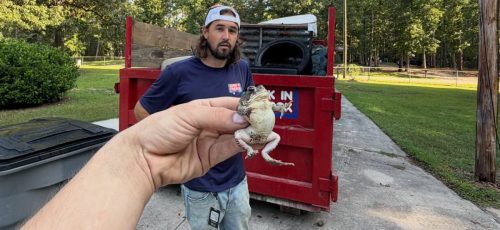 Find Best Evans Georgia Rent Dumpsters Junk In The Box Updates 8 24 2026 17