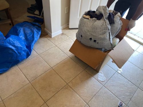 Find Best Evans Georgia Rent Dumpsters Junk In The Box Updates 8 24 2026 24