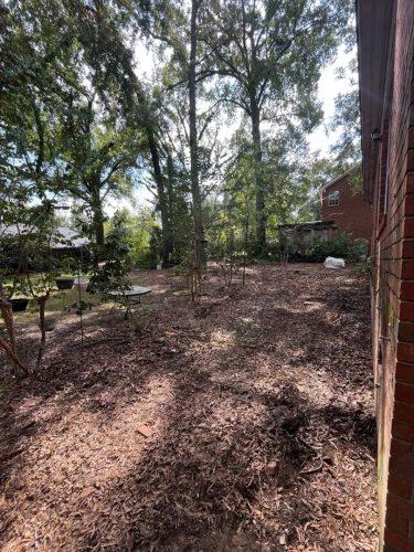 Near Me Augusta Ga Demolition Contractor Junk In The Box Updates 9 14 2026 3