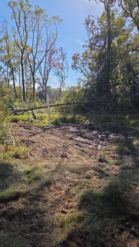 Demolition-contractor-evans-ga-junk-in-the-box-updates-1-12-2026-041