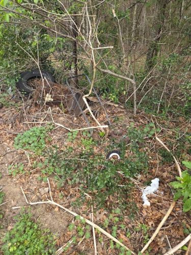 augusta-ga-demolition-contractor-junk-in-the-box-updates-3-23-2026-3