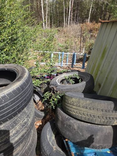 augusta-ga-demolition-contractor-junk-in-the-box-updates-3-23-2026-4