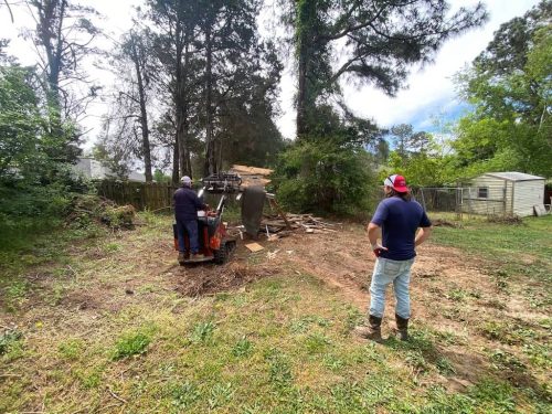 demolition-contractors-evans-ga-junk-in-the-box-updates-4-6-2026-2