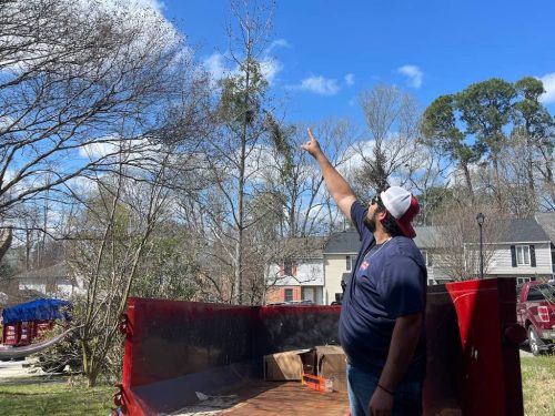 evans-ga-junk-removal-service-junk-in-the-box-updates-3-2-2026-50
