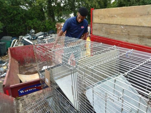 junk-removal-services-in-martinez-georgia-junk-in-the-box-updates-4-27-2026-31