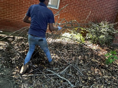 martinez-georgia-junk-removal-services-junk-in-the-box-updates-5-11-2026-22